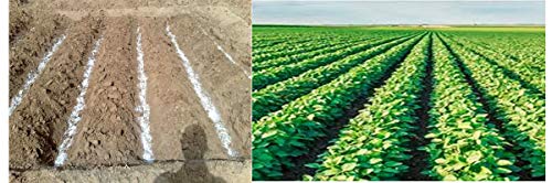 SOIL MOIST SAP Super Absorbent Polymer Garden and Lawn Soil Treatment White