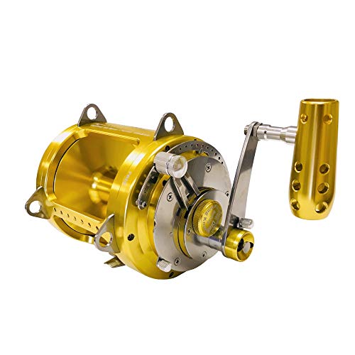 EAT MY TACKLE 80W 2-Speed Reel on Long Dredge Rod Gold