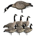 Avian-X AXP Honkers Full Body Realistic Goose Decoy with Sentry Walker Set Multicolor