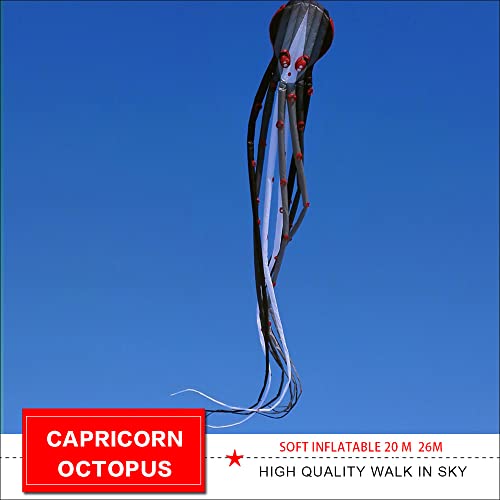 TiffyDance Super Large Octopus Kite 26m