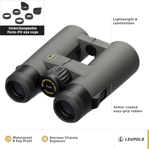 Leupold BX-4 Pro Guide HD Binoculars 10x42mm Shadow Gray
