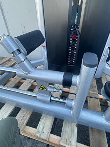 French Fitness FFS Silver Glute Machine