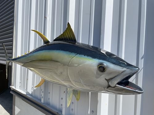 Mount This Fish Company 52" Yellowfin Tuna Full Mount Fish Replica Two Sided