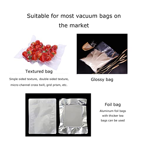LGXEnzhuo Double Chamber Vacuum Packaging Machine Off-White