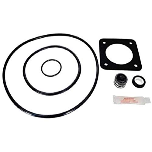The Pool Supply Shop 1.5 HP Square Flange Pool Pump Motor Black
