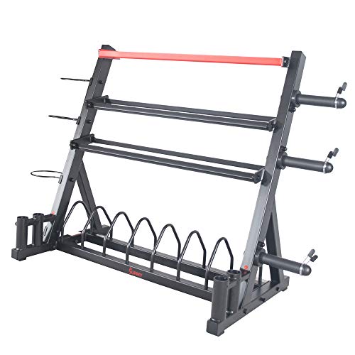 Sunny Health & Fitness All-In-One Weights Storage Rack Stand Black
