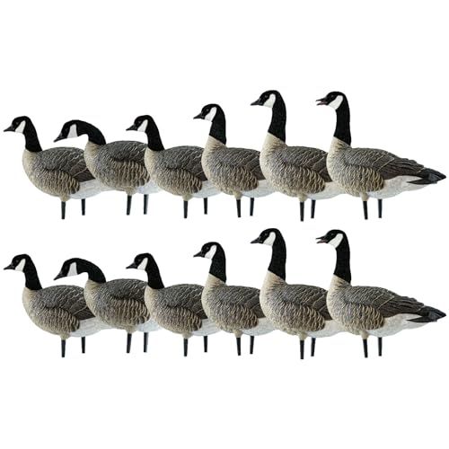 Avian-X AXP Honkers Fusion Pack Lesser Canada Goose Decoys 2 Pack