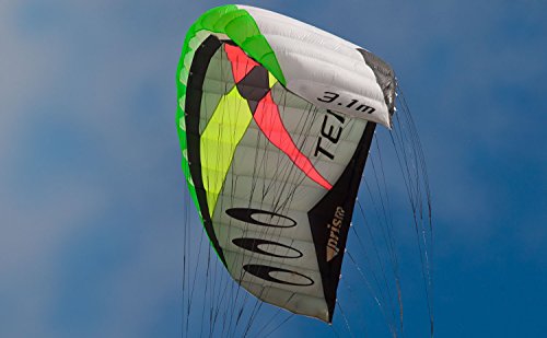 Prism Kite Technology Tensor 5.0 Convertible Dual/Quad-line Power Kite Silver
