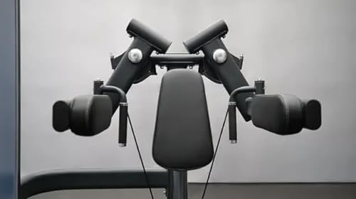 BK BodyKore Lateral Raise GR605 Black Frame