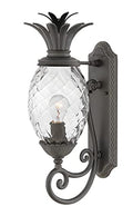 Hinkley Plantation Large Wall Mount Outdoor Lantern - Pineapple Motif, 1-Light, Clear Optic Glass, Aluminum - Museum Black