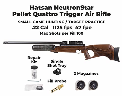 Wearable4U Hatsan NeutronStar .22 Cal PCP Air Rifle Bundle with 250 Pellets and 100 Paper Targets