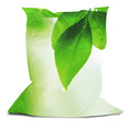 Above All Advertising Extra Large Pillow Bean Bag Chair Green Leaf Multi Color