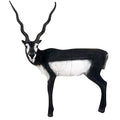 Delta McKenzie Black Buck 3D Pro Target Black