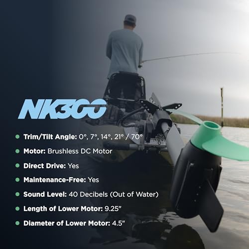 Newport NK300 Electric Kayak Motor 3HP Equivalent 36V Grey