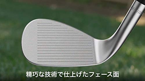 Kirkland Signature Golf Wedge Set Silver