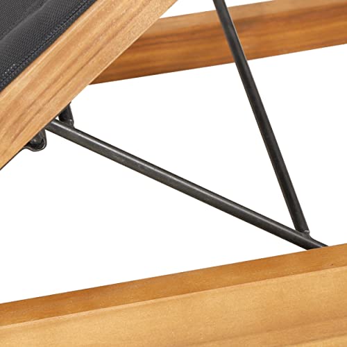 Christopher Knight Home Emile Chaise Lounge Black + Teak