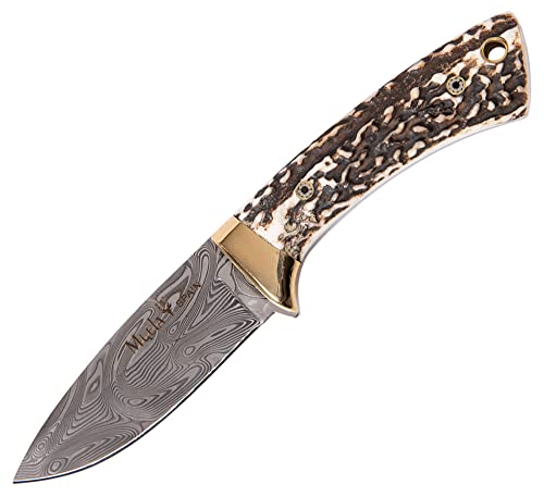 Muela Damascus Fixed Blade Hunting Knife 2-3/4" Silver Deer Horn Handle