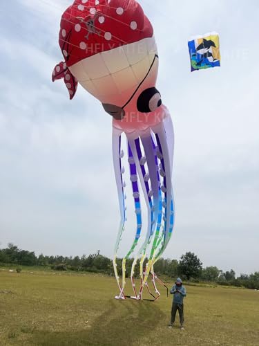 Yingfeida HFLY 20m Giant Pirate Octopus Inflatable Show Kite Colorful
