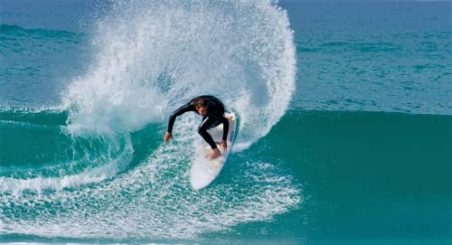 Shapers Surf Fins EcoTech Series Performance Thruster FCS II Tab Setup
