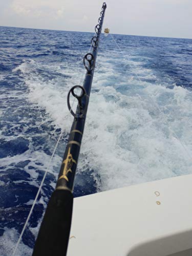 BlackFin Rods Fin #153 Fast Action Fishing Rod Multi-Coloured