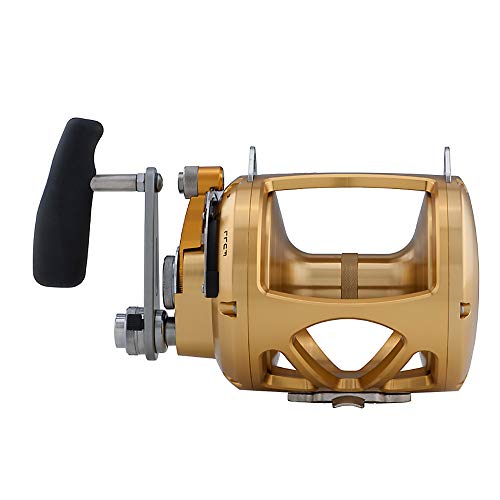 PENN INT80VISW International Lever Drag 2-Speed Saltwater Reel Gold