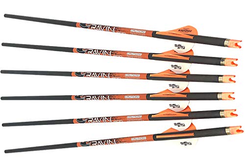 RAVIN R10 Deluxe Hunter's Crossbow Package Predator Camo