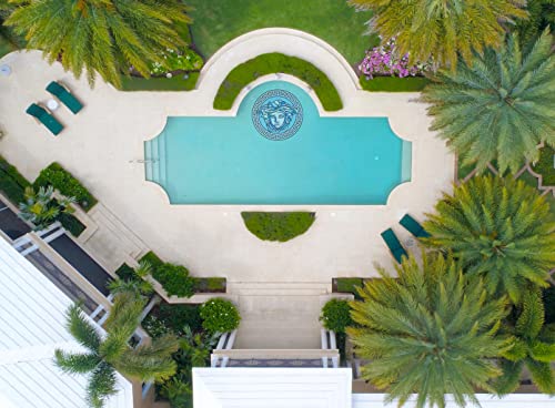 Artistry in Mosaics Glass Goddess Medallion Swimming Pool Mosaic Blue