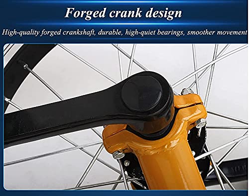 JINCAN 20" Beginner Unicycle with Non-Slip Tires and Steel Frame