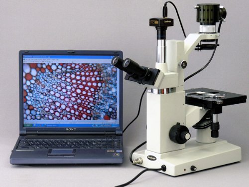 AmScope Digital Inverted Trinocular Microscope 40x-640x White