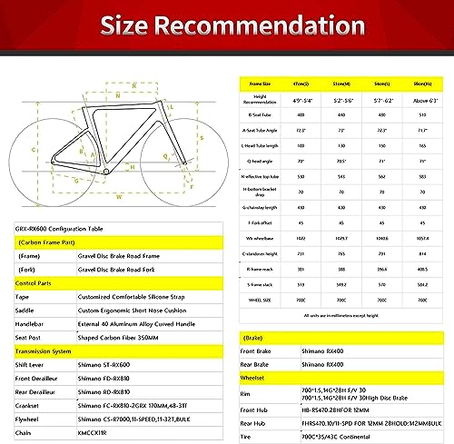 SAVADECK Carbon Gravel Road Bike White