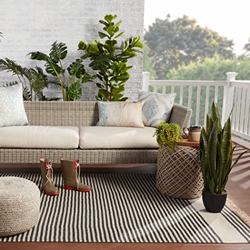Jaipur Living Indoor Outdoor 9x12 Large Area Rug Striped Dark Gray