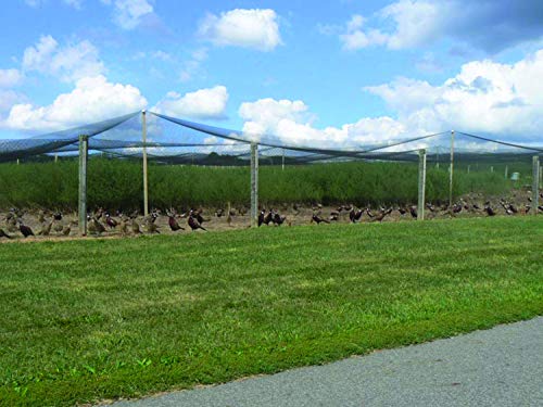 Stromberg's 1" Knotted Heavy Duty Game Bird Netting Black