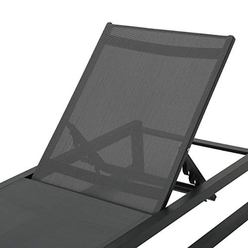 Christopher Knight Home Modesta Outdoor Chaise Lounge Set of 4 Black Gray