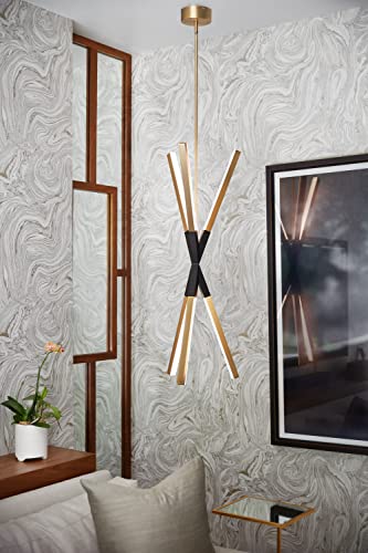 Hinkley Fredrick Ramond Rae Medium Pendant Integrated LED Lacquered Brass Black Accent