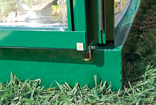 Palram Canopia Hybrid Greenhouse 6' x 8' Forest Green