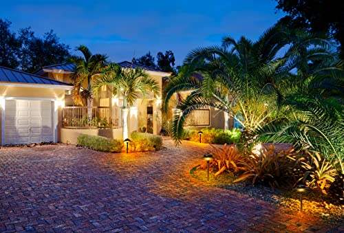 LawnShine Premium Brass Landscape Lighting Kit - 4 Path Lights, 6 Spot Lights with LED Bulbs Bronze