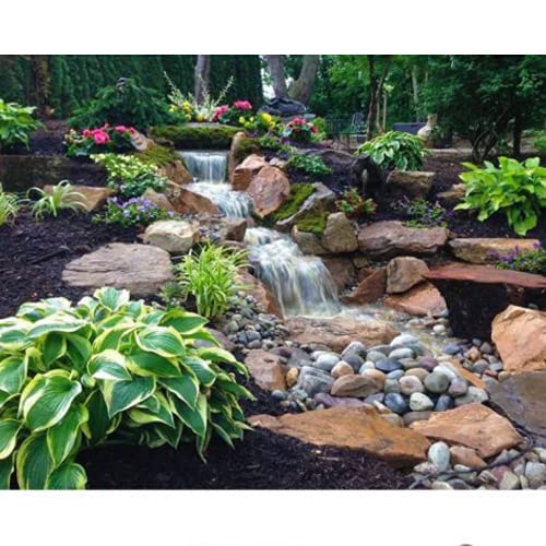 Blue Thumb Cascading Falls Kit Mini 10