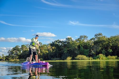 Perception Kayaks Hi Life 11 Sit on Top Kayak SUP/Paddleboard Hybrid Boat 11 ft Mystic