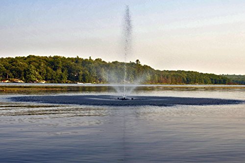 Fawn Lake Fountains 1HP Floating Pond and Lake Fountain Black
