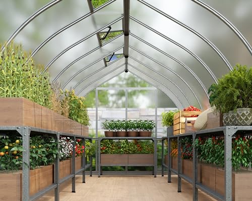 CANOPIA Palram - Canopia Bella 8' x 24' Greenhouse Silver