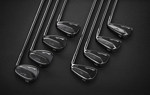 Mizuno Pro 225 Black Golf Iron Set RH/Steel/Stiff
