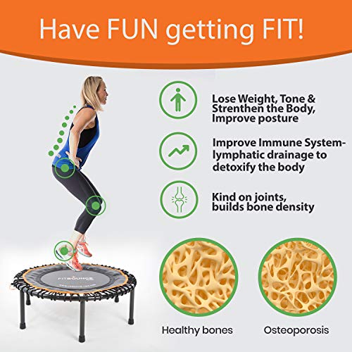MXL MaXimus Life FIT BOUNCE PRO XL Premium Bungee Rebounder Black