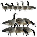 Avian-X AXP Honkers Fusion Pack Lesser Goose Decoys 5+6 Piece Set
