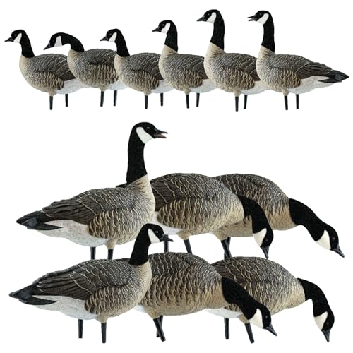 Avian-X AXP Honkers Fusion Pack Lesser Goose Decoys 5+6 Piece Set