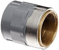 Spears Manufacturing CPVC Pipe Fitting Adapter Schedule 80 Gray 1-1/2" Socket x Brass NPT Female