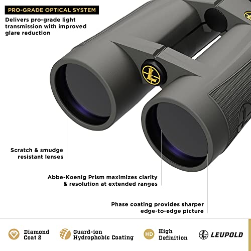 Leupold BX-5 Santiam HD Binoculars 15x56mm Shadow Gray