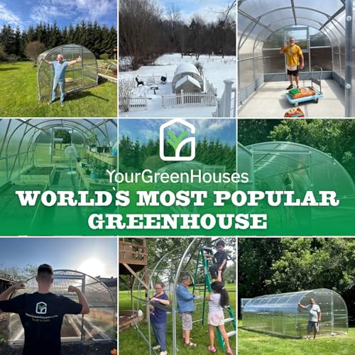 YourGreenHouses Polycarbonate Greenhouse Tunnel Clear 10x26 FT