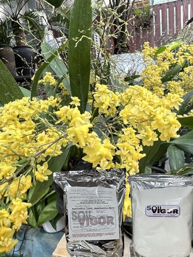 Soil Vigor Potassium SAP for Efficient Watering and Fertilization 40 Pounds