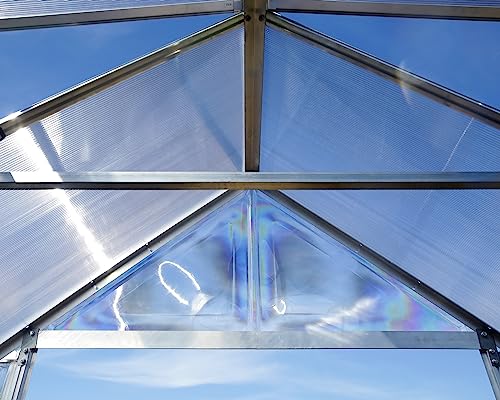CANOPIA Palram Balance Greenhouse Kit 10'x20' Silver