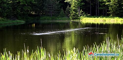 BUBBLE TUBING Fine Bubble Self-Sinking Diffuser Airline Black 100'
